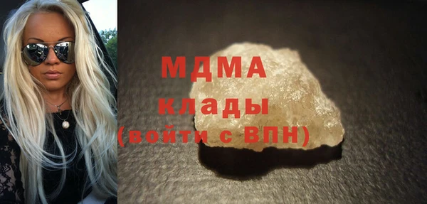 гидра Богородск
