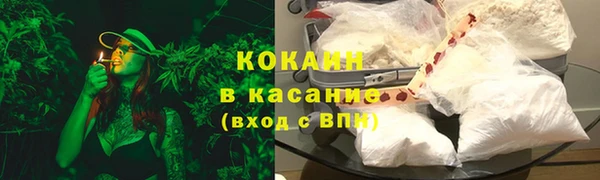 гидропоника Бородино