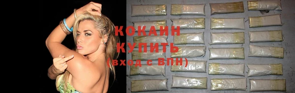 гидра Богородск