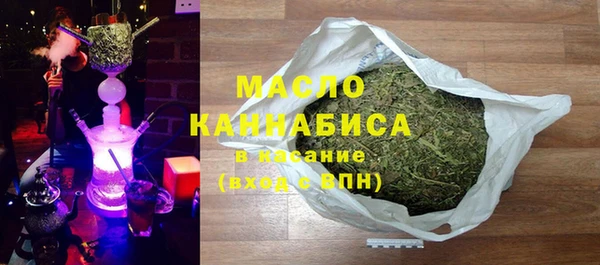 гидра Богородск