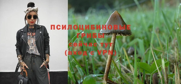 гидропоника Бородино